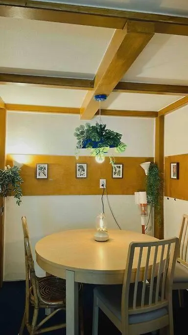 Private House In Mapo Βίλα Σεούλ